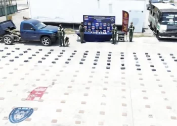 GOES y CNA de la GNB incautan más de 289 kilogramos de marihuana en operativos simultáneos en Lara y Falcón