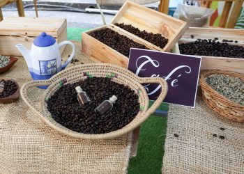 Portuguesa se convierte en epicentro agroindustrial con la Expo Fedecámaras