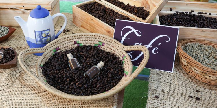 Portuguesa se convierte en epicentro agroindustrial con la Expo Fedecámaras