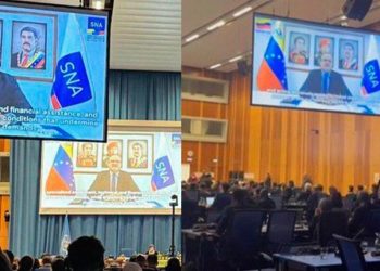 En la ONU, Venezuela ratifica la eficiencia de su modelo soberano antidrogas