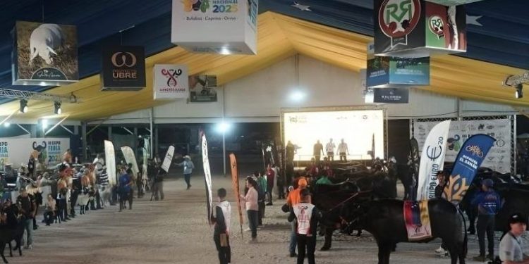 La Expoferia Nacional 2026 convertirá a Caracas en el epicentro del potencial agropecuario de Venezuela