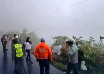 Organismos de Mérida y Barinas intensifican labores tras siniestro vial en la carretera Transandina