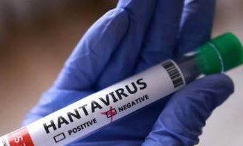 Científicos argentinos prueban con éxito un spray nasal para prevenir el hantavirus