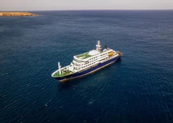OMS califica como «bajo» el riesgo para la salud pública tras detectar casos de hantavirus en crucero de lujo