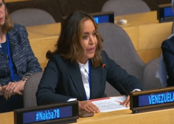 Venezuela en ECOSOC: “La energía es un bien estratégico para el desarrollo de los pueblos, no una simple mercancía”