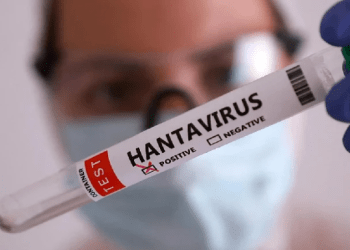 OMS: riesgo global por hantavirus es bajo