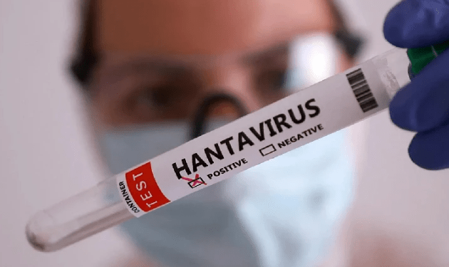 OMS: riesgo global por hantavirus es bajo