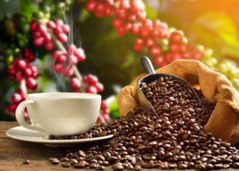​El café venezolano conquista el mercado asiático en la prestigiosa feria FHA Singapur 2026