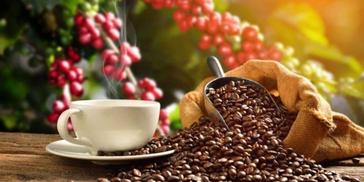 ​El café venezolano conquista el mercado asiático en la prestigiosa feria FHA Singapur 2026