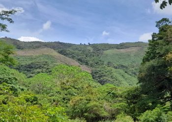 Presidenta (E) aprueba la ampliación del Parque Nacional Terepaima