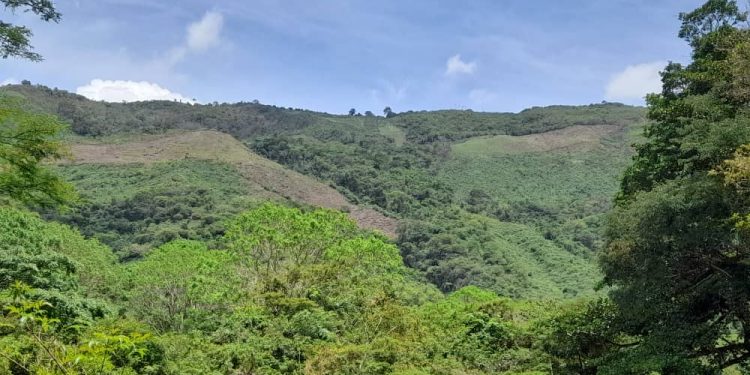 Presidenta (E) aprueba la ampliación del Parque Nacional Terepaima