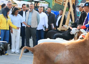 Presidenta (E) Delcy Rodríguez ratifica defensa de la soberanía y el impulso productivo frente al bloqueo 7 Presidenta (E) Delcy Rodríguez ratifica defensa de la soberanía y el impulso productivo frente al bloqueo