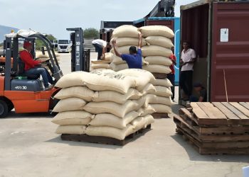 Torrefactora Frimar abre mercado en Türkiye con el envío de 20 toneladas de café