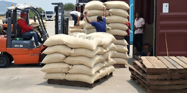 Torrefactora Frimar abre mercado en Türkiye con el envío de 20 toneladas de café