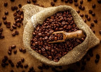 Lara se consolida como el epicentro cafetalero del país con la Expoferia “Lara es Café 2026”