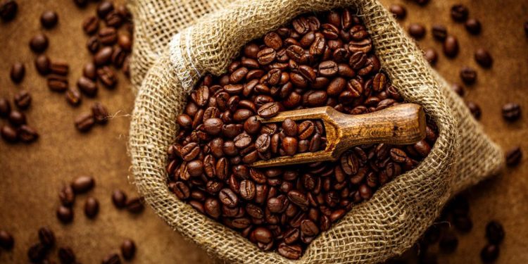 Lara se consolida como el epicentro cafetalero del país con la Expoferia “Lara es Café 2026”