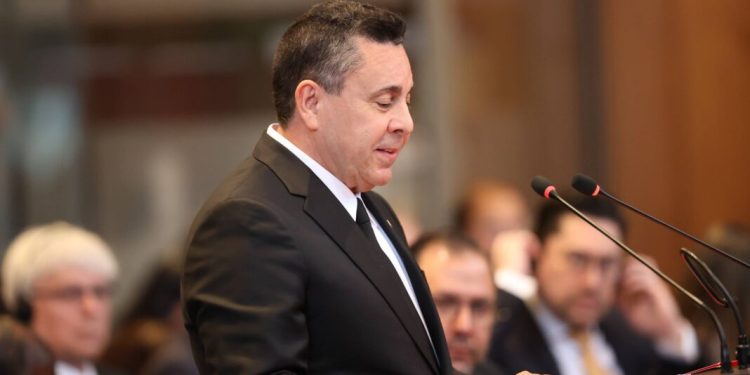 Moncada ante la CIJ: «Los derechos de Venezuela sobre el Esequibo son irrenunciables»