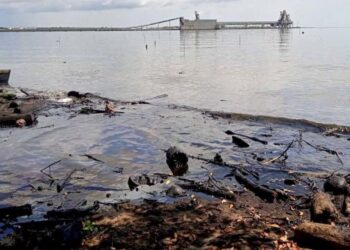 Canciller Yvan Gil denuncia nuevo derrame de hidrocarburos proveniente de Trinidad y Tobago que afecta aguas venezolanas (Comunicado)