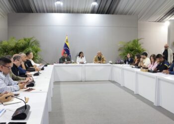 Presidenta Encargada Delcy Rodríguez Activa Protocolo de Evaluación Estructural tras Sismos