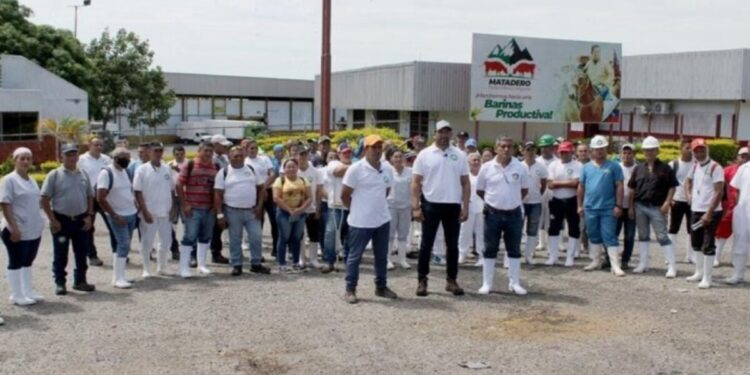 Segunda fase de peregrinación prioriza al sector productivo en Barinas