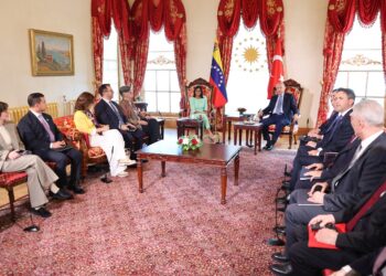 Presidenta (E) Delcy Rodríguez se reúne con el Presidente de Turquía en el Palacio de Dolmabahçe