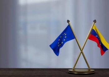 Presidenta (E) Delcy Rodríguez agradece apoyo de la UE ante la emergencia sísmica en Venezuela
