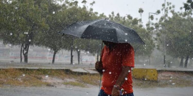 Inameh advierte sobre paso de onda tropical número 20