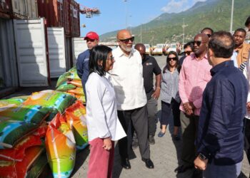 (+Fotos) Presidenta Delcy Rodríguez supervisa llegada de 88 contenedores de ayuda de la Caricom