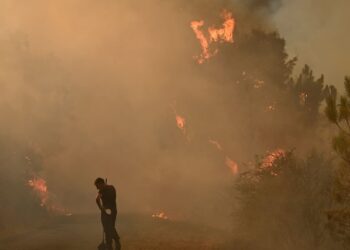 Centro de España en alerta por incendios forestales tras quemarse 77.000 hectáreas