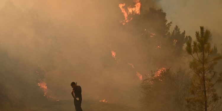 Centro de España en alerta por incendios forestales tras quemarse 77.000 hectáreas