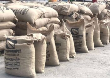 Mérida consolida su presencia en Europa con la exportación histórica de 19,2 toneladas de café rumbo a Bélgica