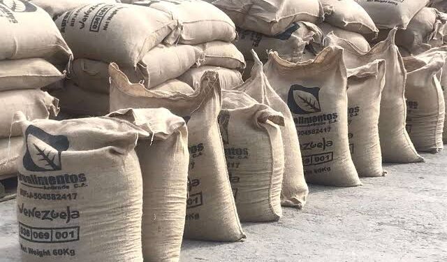 Mérida consolida su presencia en Europa con la exportación histórica de 19,2 toneladas de café rumbo a Bélgica