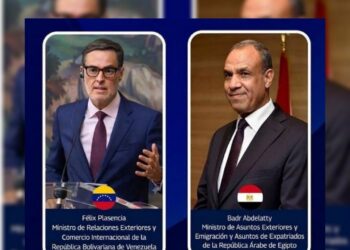 Venezuela y Egipto fortalecen cooperación bilateral tras sismo: Invitan a expertos egipcios para tareas de reconstrucción
