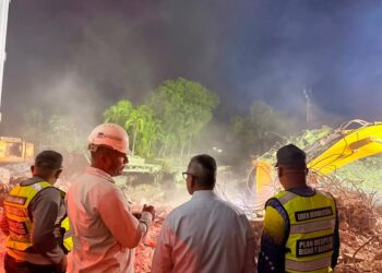 Plan de Despeje Digno y Seguro en La Guaira avanza tras evento sísmico