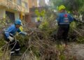 (+Videos) Brigadas de mantenimiento despliegan operativo de limpieza en Los Chaguaramos tras las recientes lluvias