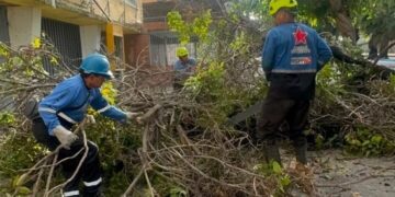 (+Videos) Brigadas de mantenimiento despliegan operativo de limpieza en Los Chaguaramos tras las recientes lluvias