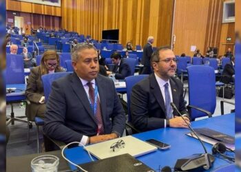Venezuela propone en la OIEA una cooperación científica que cierre brechas en el Sur Global 4 Venezuela propone en la OIEA una cooperación científica que cierre brechas en el Sur Global