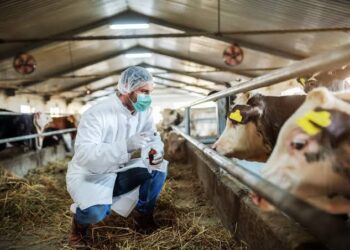 ​La ciencia genética que transforma la producción de carne y leche en el país