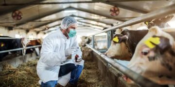 ​La ciencia genética que transforma la producción de carne y leche en el país