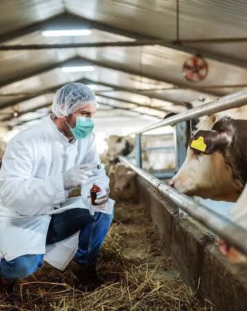 Periódico de la Patria y Multiplataforma Digital 27 La ciencia genética que transforma la producción de carne y leche en el país
