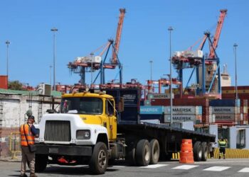 Bolipuertos inicia jornada especial de registro para el transporte de carga en La Guaira