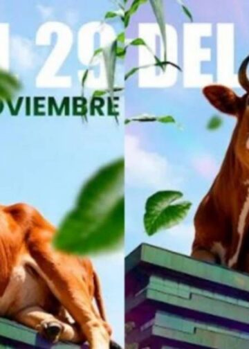 Caracas será el epicentro del sector agroproductivo con la Expoferia Ganadera y Agrícola 2026
