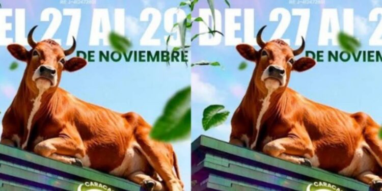 Caracas será el epicentro del sector agroproductivo con la Expoferia Ganadera y Agrícola 2026