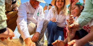 Plantan más de 3 mil árboles en la Vereda del Lago en el marco del Encuentro del Motor Forestal
