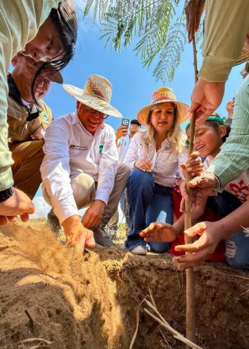 Periódico de la Patria y Multiplataforma Digital 26 Plantan más de 3 mil árboles en la Vereda del Lago en el marco del Encuentro del Motor Forestal