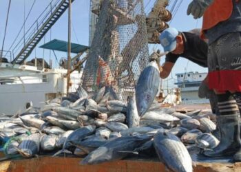 Venezuela dice presente en la 27.ª edición de la feria pesquera Conxemar en España
