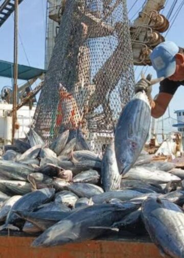 Venezuela dice presente en la 27.ª edición de la feria pesquera Conxemar en España