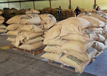 Café andino venezolano conquista el mercado de Australia con exportación histórica
