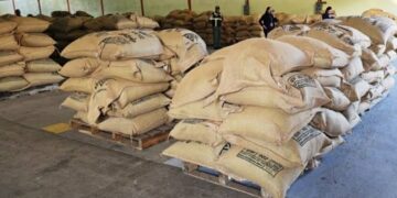 Café andino venezolano conquista el mercado de Australia con exportación histórica